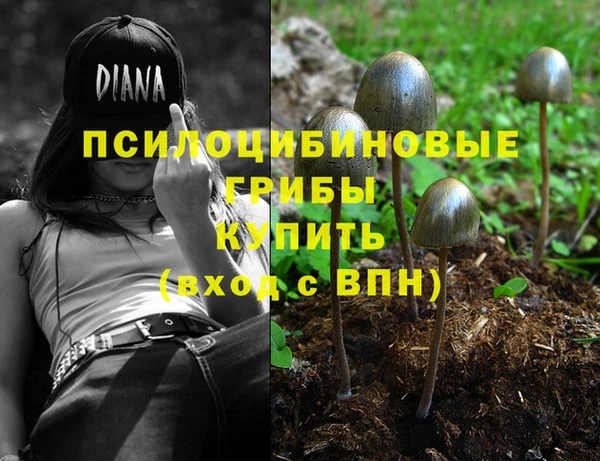 таблы Алексеевка
