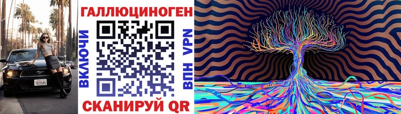 МЕГА tor Куртамыш Псилоцибиновые грибы ЛСД дарнет шоп